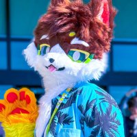 ๐บ ๋ผ๋ง ๐ฆด๐ ํ๋ก์ ํธ ํ
์ผ (@_raman02) 's Twitter Profile
