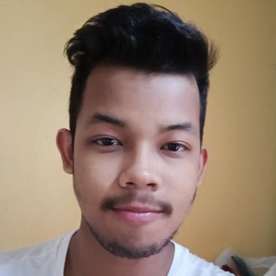 Bikash_xb's profile picture. Simply Curious | ECE@NITS'25