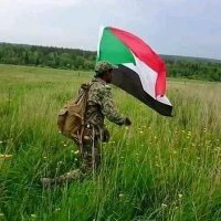 Osama Dafalla (@osamadafal3351) 's Twitter Profile Photo