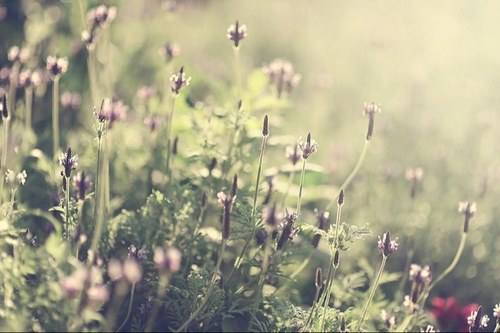 hathai_pk's profile picture. Always with me