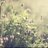 hathai_pk's profile image
