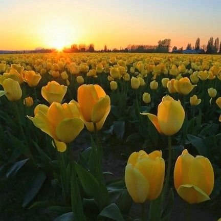 _Elaa_Q's profile picture. God first 🙏🏽Not perfect but always genuine 💯Sunset lover🌤️let’s get to 4k💪