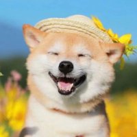 弓月 (@alyonitabtc181) 's Twitter Profile Photo 弓月 (@alyonitabtc181) 's Twitter Profile Photo