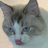 putongnore7960's profile image