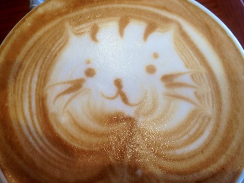 growblessedJ's profile picture. 未病をテーマに活動を再スタートします。メタトロン持ってます。ファスティングやCBDオイルも使い身体の波動、筋肉バランス整えてます。 生活習慣、衣食住を見直すことで不調を回避したい方、ピンコロ大往生を目指す方つながりましょう！