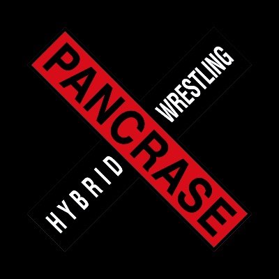 直筆サイン有●PANCRASE オフィシャル写真集 「シード SEED」 金魚 — Light blue background with goldfish in Japanese bound