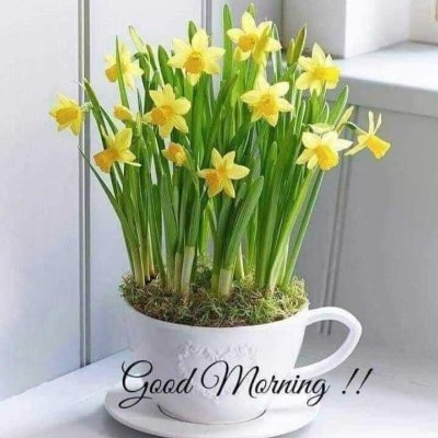 nazee48's profile picture. Farhat naz