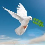 Un regard inquiet sur le nouveau monde. optimiste mais vigilant contre les sectes (temple solaire, scientologie, LREM, islamisme, Moon...).