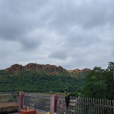 Radherampuria's profile picture. 