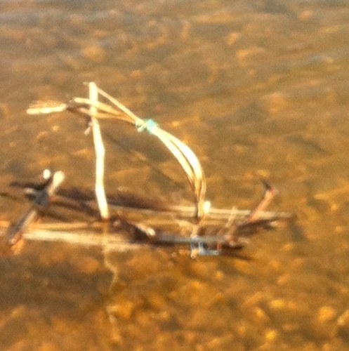 YLechartier's profile picture. 