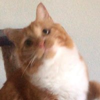 cyps. (@dazzrjj) 's Twitter Profile Photo