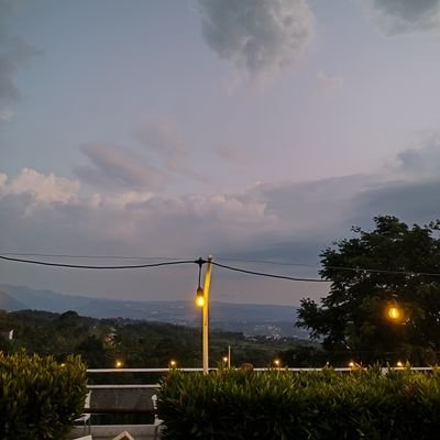 whdtnnrl_'s profile picture. 