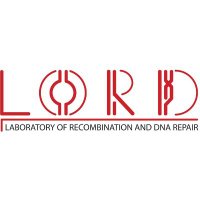 Krejci lab (LORD) (@lord_krejci) 's Twitter Profile