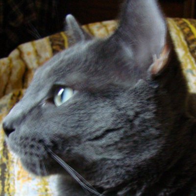 MrBowen3VZBO's profile picture. AI Whisperer
https://t.co/26eNMhwmJW All posts & AI conversation screenshots are my IP & copyrights are mine. Unpaid Uncredited Unwitting Copilot Developer