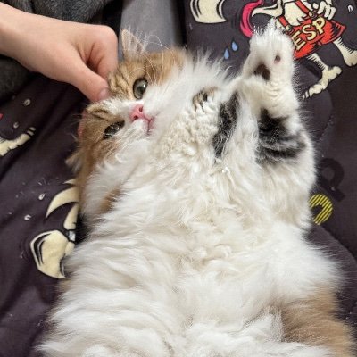 チビちゃん👦さんのプロフィール画像