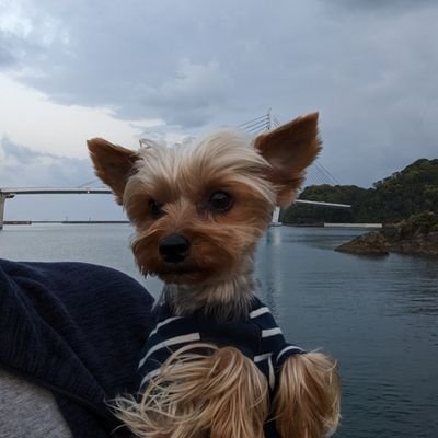 釣り好きだけど魚が釣れない爺さん。釣れても釣れなくても楽しめれば人生丸儲け☺️
生涯 釣り初心者
無言フォロー無言フォローバ失礼します
広島市西部在住