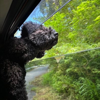 好きなものを日常的に載せているブログをやってます笑