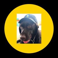 Andy Contan (@_damped_spring_) 's Twitter Profile