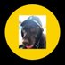 Andy Contan (@_damped_spring_) Twitter profile photo Andy Contan (@_damped_spring_) Twitter profile photo