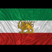 Nina S (@ninas8871535458) 's Twitter Profile