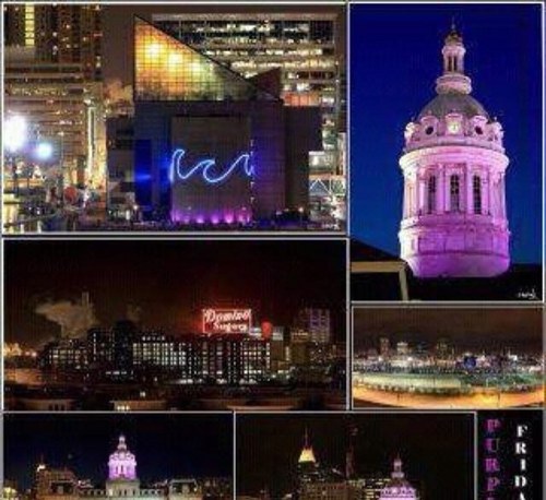 bunchie1233's profile picture. 