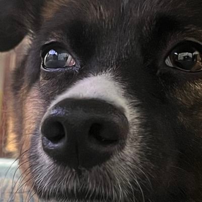 kipokipoppoon15's profile picture. 無言フォロー失礼します🙏気軽にフォローもしてくださいね😊 好きなのは CH♡神谷明さん♡ TNP♡富士山♡宝塚♡綺麗な風景♡ カメラ勉強中