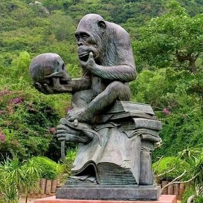 mombomadimbu's profile picture. 