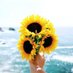本坊綾子 (@ayako_hombo79) Twitter profile photo 本坊綾子 (@ayako_hombo79) Twitter profile photo