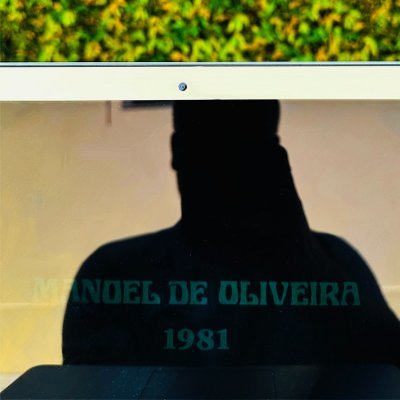 DanielTrapiello's profile picture. 