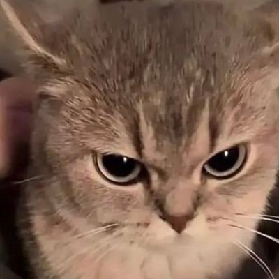 HydroNav_'s profile picture. 