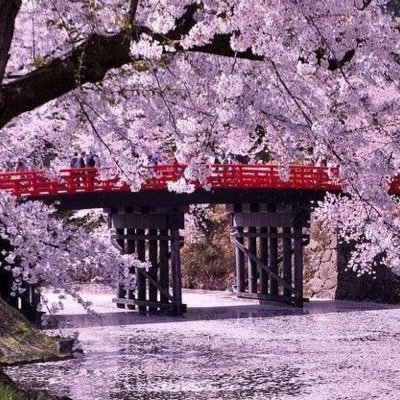 yukame2_23's profile picture. 🐢🩷&⛄️♥️幸せでいてね✨