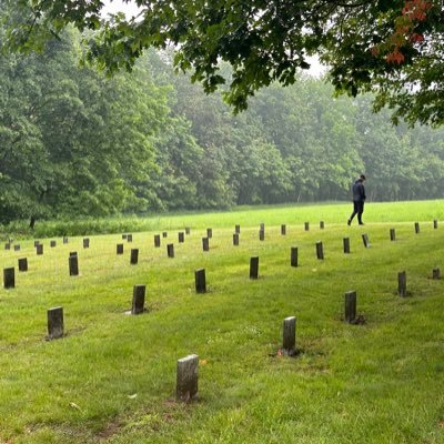 _broccolli_'s profile picture. 