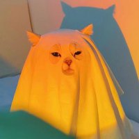 爱eunmi (@_veaumin) 's Twitter Profile