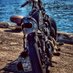 でぃーえす【神風一門】札幌 (@crazy_biker_ds) Twitter profile photo でぃーえす【神風一門】札幌 (@crazy_biker_ds) Twitter profile photo