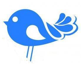 BluebirdCSA's profile picture. Farm fresh veggie share boxes of all the best local harvest. http://t.co/PdGdJPErYu