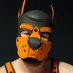 FoxPup🐶 (@pup_foxxo) Twitter profile photo FoxPup🐶 (@pup_foxxo) Twitter profile photo