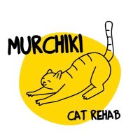 Притулок Мурчики Київ (@murchikiua) 's Twitter Profile