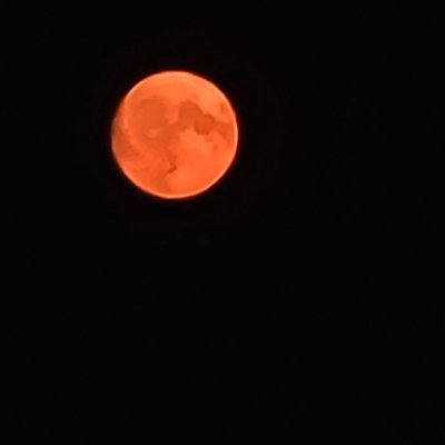Carolemoonbeam's profile picture. 