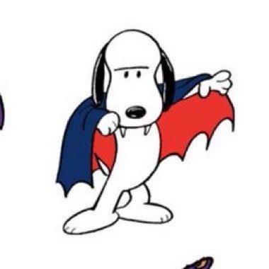 shelly_zelli's profile picture. she/her ✨✨