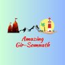 amazingsomnath's profile picture. વેરાવળ🗼તાલાલા🦁સુત્રાપાડા🌊કોડીનાર🌴ઉના🌄ગીરગઢડા🏝️
News | Information | Food | Culture | Tourism | Marketing 
Join Our WhatsApp Group Now...👇
