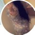 بنت المملكة العربية السعودية 🇸🇦 (@wdytals34794) Twitter profile photo بنت المملكة العربية السعودية 🇸🇦 (@wdytals34794) Twitter profile photo