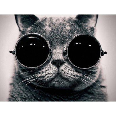 TTRPG Philosophist(D&D)|LFG|Race: Human|Identifies As: Not a BOT/THOT.
