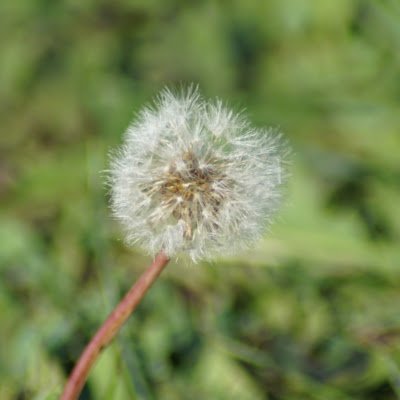 M0rph3uzz's profile picture. 