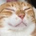 dummby๐ (@ummyeahyep) Twitter profile photo dummby๐ (@ummyeahyep) Twitter profile photo