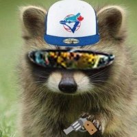 Товарищ Енот 🍉⚾️ (быстрый) (@muellundstreit) 's Twitter Profile