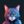 codergato (@codergato) profile picture