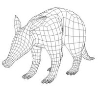 secret aardvark (@secretaardvark) Twitter profile photo