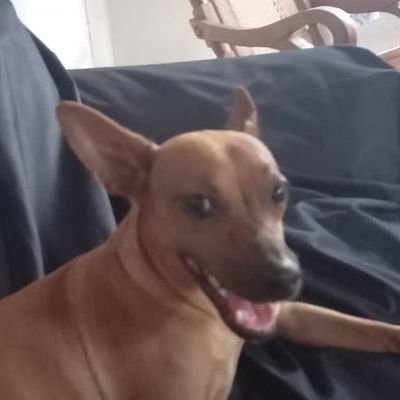 Cesarn392474's profile picture. 