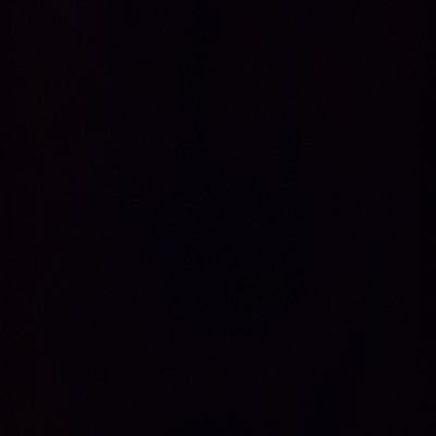 euprogramo's profile picture. 