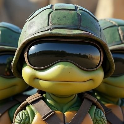 Official supporter of the $SPEEDY 🐢 project | Building a strong, community-driven meme token | Zero tax, big potential, and steady growth 🌱 | Join us!
